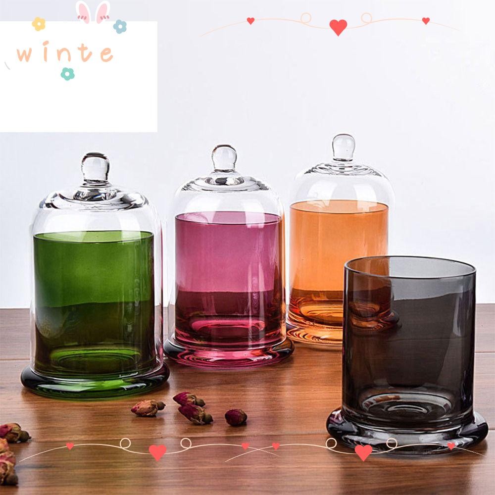 WINTE Glass Candle Cover, Food Plant Display Eternal Life Flower Glass Storage Jar, DIY Making Glass