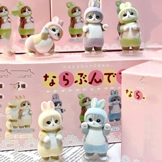  5 Cái   bộ Anime Hoạt Hình Mifusand Cá Mập Mèo Kawaii Thỏ Dễ Thương Đổ Xô Q Phiên Bản PVC Nhân Vật Hành Động Mô Hình Đồ Chơi Búp Bê Quà Tặng 