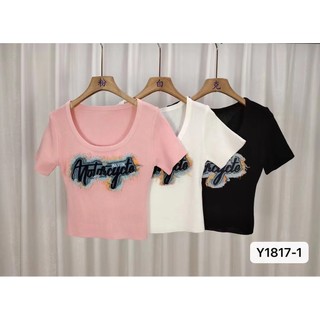 HOT HOT trên mạng cổ chữ U thêu denim tay ngắn dễ phối đồ hage chồn H06V