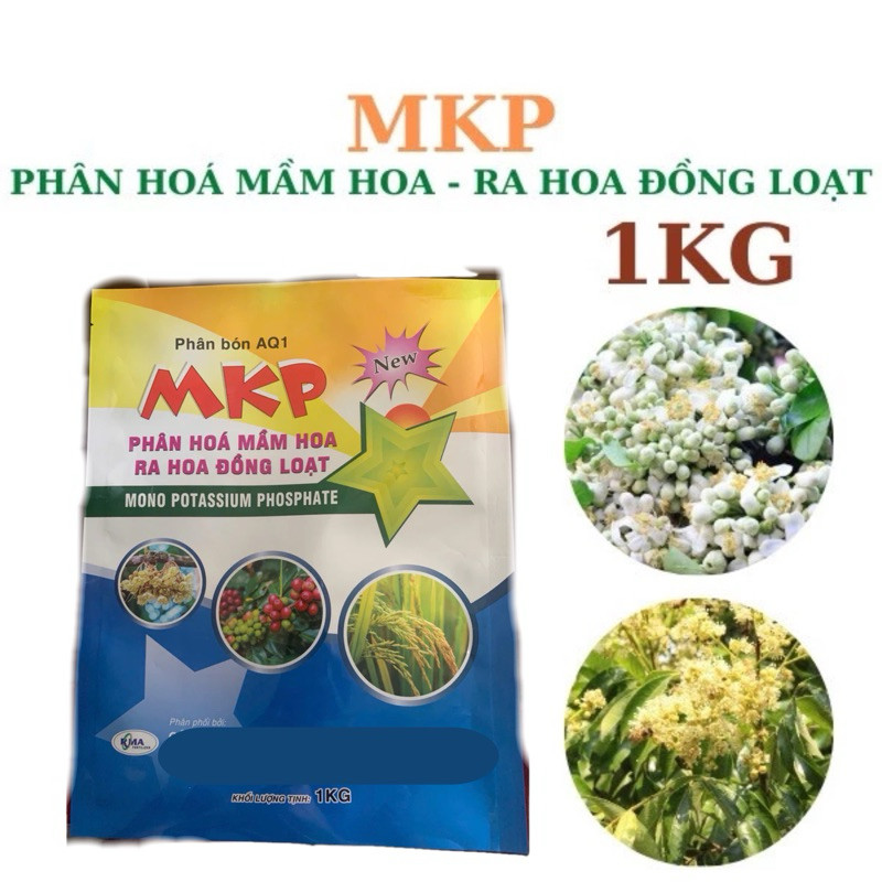 MKP 0-52-34 kích hoa chuyên dùng cây ăn trái gói 1kg