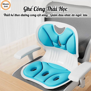  Đệm ghế công thái học có thể điều chỉnh tư thế ngồi chống gù lưng chống vẹo cột sống giảm đau lưng 