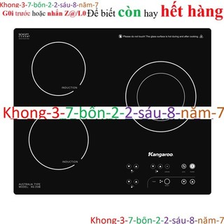 Bếp từ ba Thái lan Kangaroo KG836i 2