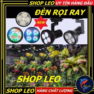 Đèn rọi ray cho hồ bán cạn - bể thủy sinh - phụ kiện cá cảnh - shopleo