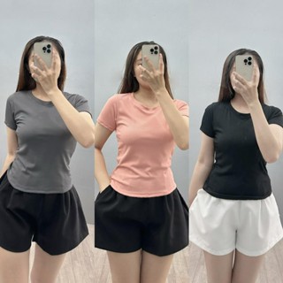 Áo thun trơn Bigsize nữ baby tee cổ tròn basic trơn vải thun co giãn thoải mái có size 60-95kg -G244