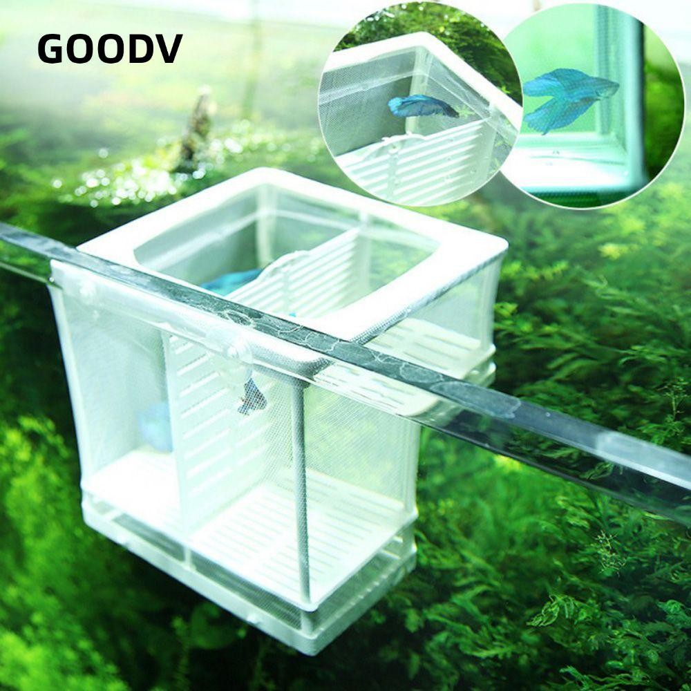 Lồng Ấp Trứng Cá 2 Tầng Linh Hoạt