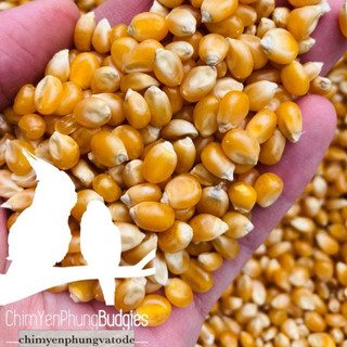 Bắp Nổ (Ngô Mỹ) 500g – Nguyên Liệu Làm Bắp Rang Bơ Tại Nhà