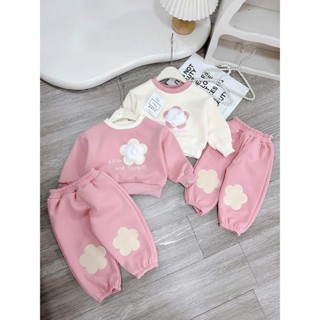 Bộ NỈ LÓT LÔNG NHUNG dày ấm, bộ quần áo dài tay thu đông, họa tiết hoa cho bé gái size 8-18kg