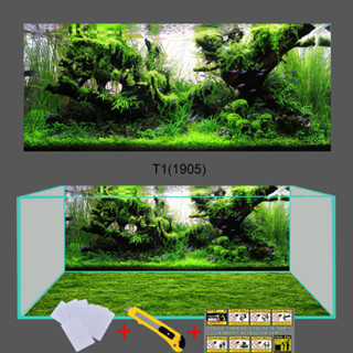 [Tặng Đồ Dán+Sticker] Tranh dán hồ cá 3D Decal mẫu  3D 1905, tranh bể cá siêu đẹp - Sắc Nét