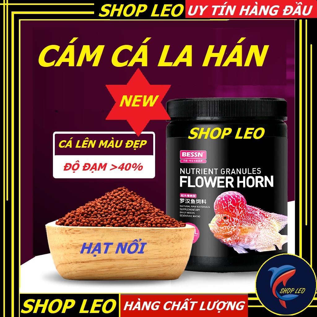 Thức ăn cá La Hán BESSN- cám lên màu cá La Hán BESSN Flower Horn - Tăng đầu, Lên màu và phát triển c