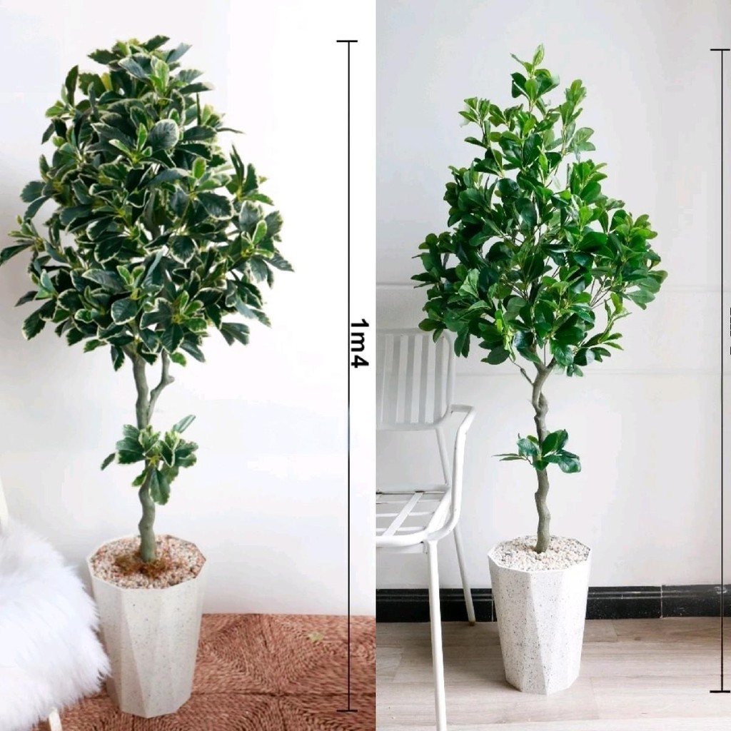 Cây cẩm thạch xanh cẩm thạch đốm nhân tạo trang trí nhà cửa, spa, quán cafe, homestay Decor Decor Ph