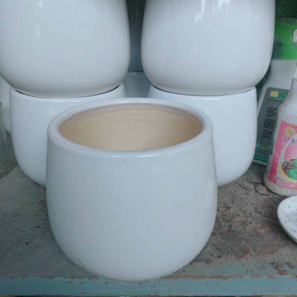 Chậu Trồng Cây (cao 15cm, ngang 15 cm)