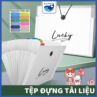 Túi đựng tài liệu A4 5/8/12 ngăn văn phòng phẩm tệp đựng tài liệu nhiều ngăn cặp file túi đựng tài liệu hồ sơ học sinh
