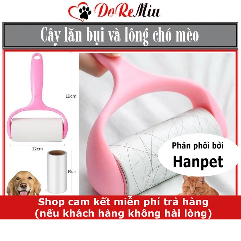 Cây lăn lông chó mèo và lăn bụi