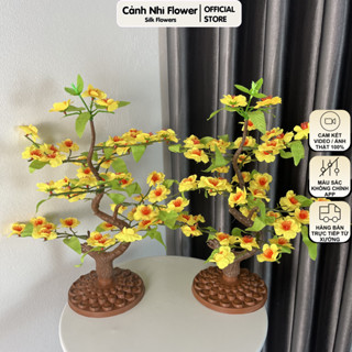 Combo 2 cây mai bonsai nhân tạo cao 40cm - Trang trí Tết Nguyên Đán 2026 - Cảnh Nhi Flower