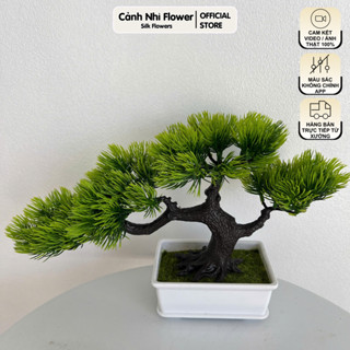  Chậu cây tùng mini bonsai cao 20cm nhân tạo – điểm nhấn xanh mát cho không gian - Cảnh Nhi Flower 