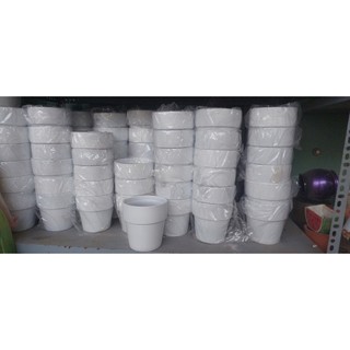 Chậu Trồng Cây Mini 13cm-12.5cm