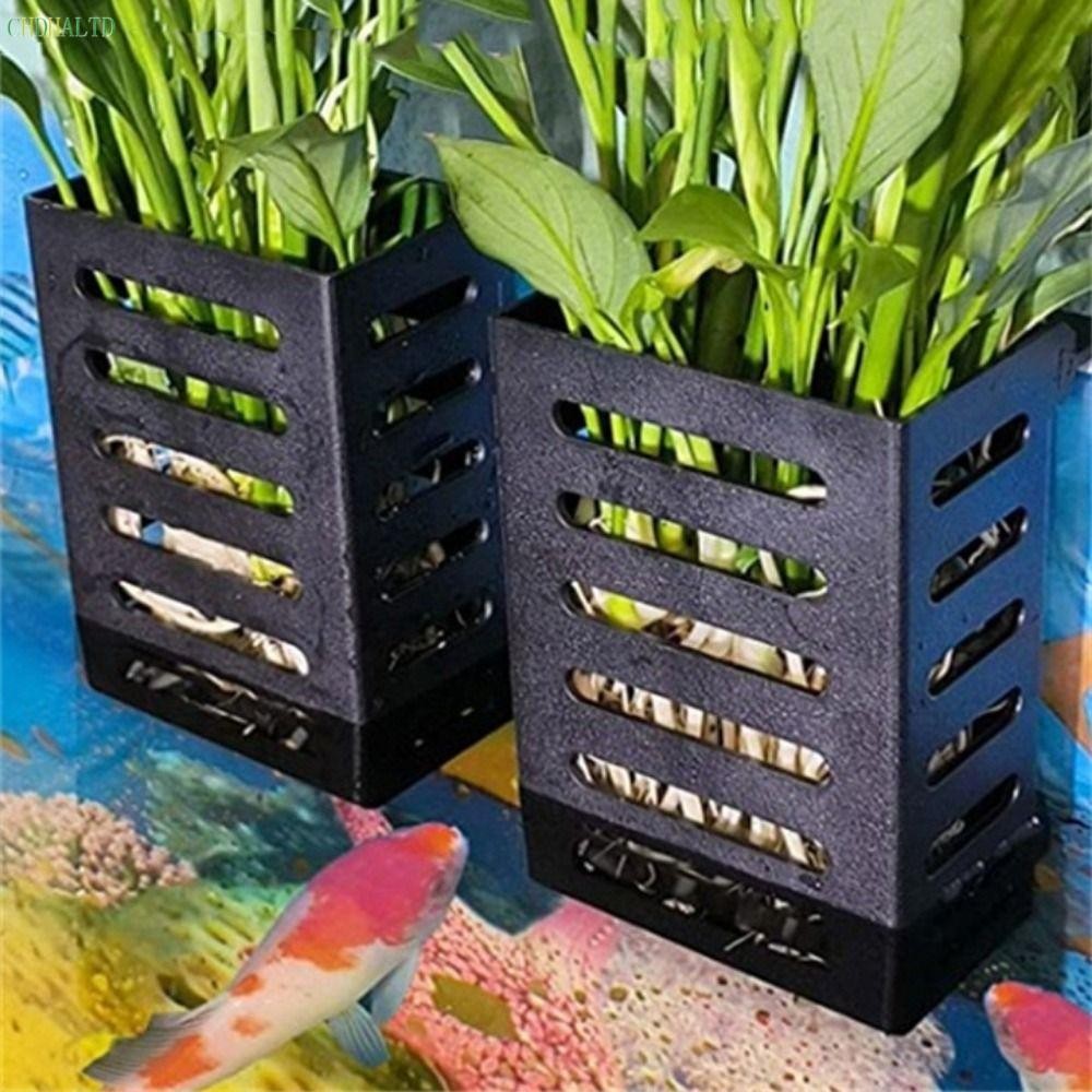 Bể cá Chậu trồng cây Giỏ trồng cây có móc treo Cốc trồng nước Đồ trang trí cảnh quan