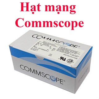 Hạt mạng Commscope rj45 AMP CAT5e CAT6 hộp 100 hạt Chính Hãng