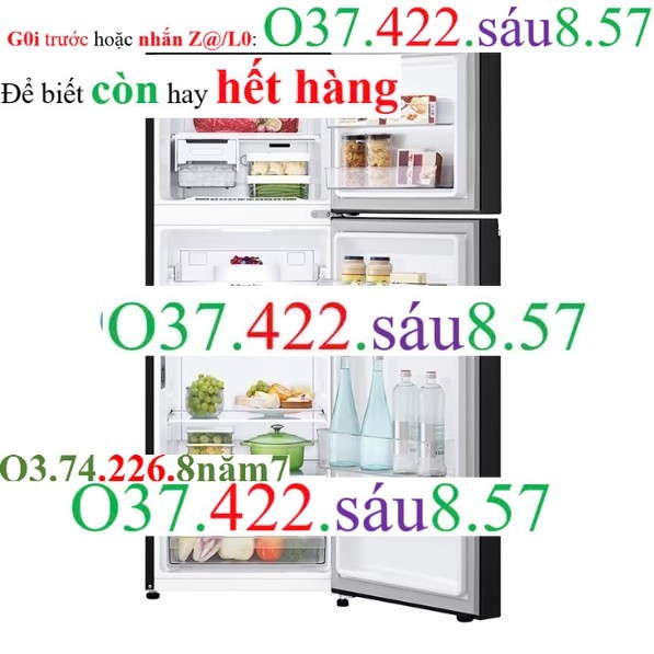 TỦ LẠNH LG INVERTER GV-B242BL- Mới 100% | sale h