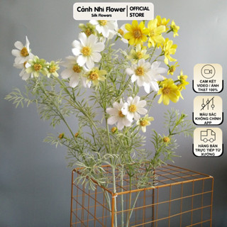 Hoa cúc xuyến chi - Dài 78cm, bông to 4cm-Hoa vải, thân nhựa lõi thép phủ phấn trắng-Cảnh Nhi Flower