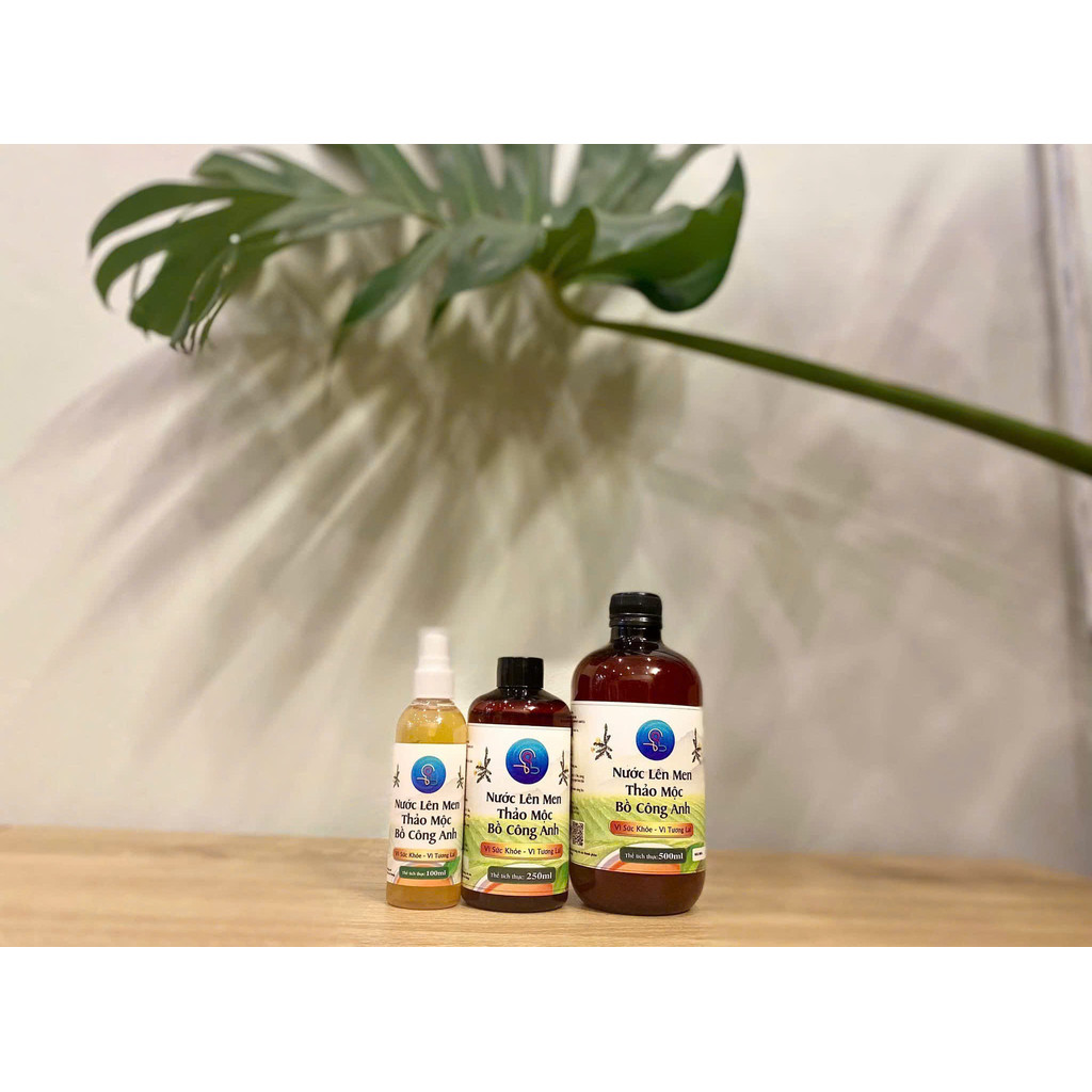 Nước lên men thảo mộc bồ công anh
