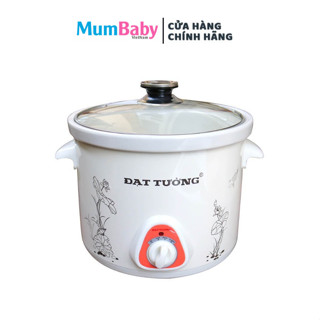 Nồi hầm cháo chậm, kho cá lõi sứ Đạt Tường 2.5L