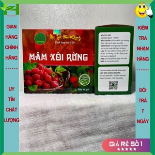 Hộp 40 gói trà mâm xôi rừng Bảo Khang, cây mâm xôi, giúp hết nám, tàn nhang, thoát vị đĩa đệm