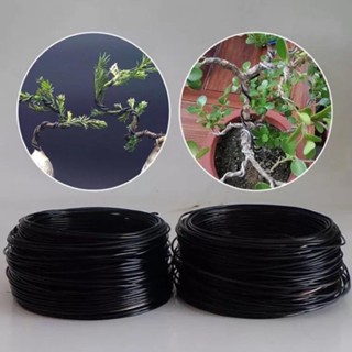[500gr] Dây Nhôm Uốn Cây Cảnh Bonsai mềm dẻo, tái sử dụng được, không nứt gãy, đủ mọi kích thước