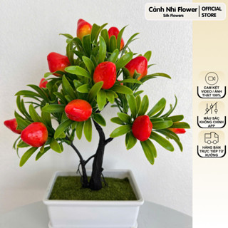  Chậu cây quả mini bonsai nhân tạo cao 28cm – điểm nhấn xanh mát cho không gian - Cảnh Nhi Flower 