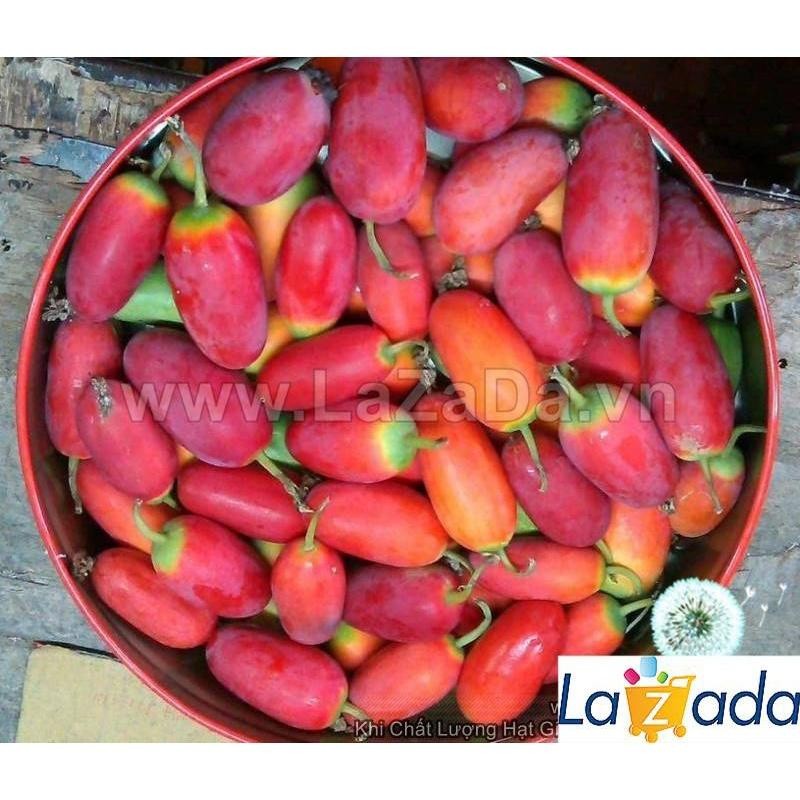 Hạt Giống Cây Bình Bát Dây Dây Bát Mãng Bát (50Hạt)