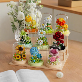 Khối xây dựng chậu hoa thắt lưng trồng hộp trưng bày khối xây dựng đồ chơi quà tặng