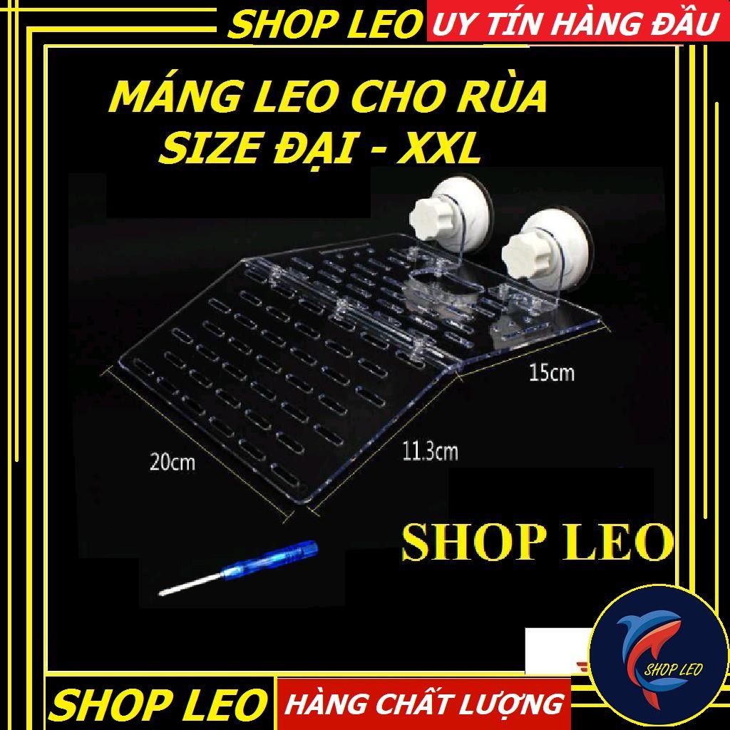 MÁNG LEO CHO RÙA NƯỚC- máng leo cho rùa bán cạn - phụ kiện bò sát