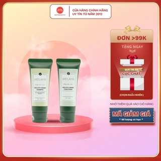 Minisize- Set gội xả gừng màu xanh Weilaiya Ginger Shampoo&Conditioner giảm rụng kích mọc tóc 20mlx2