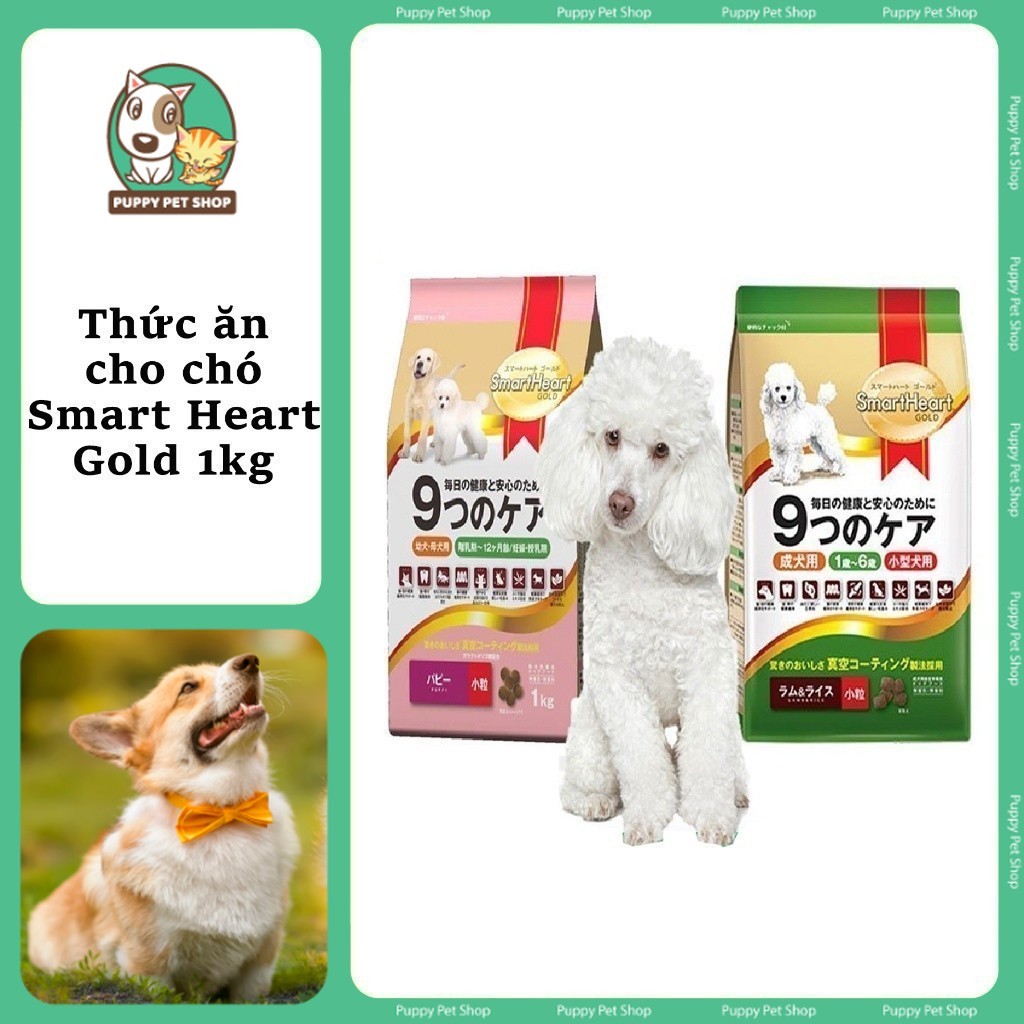 Thức ăn chó SmartHeart Gold