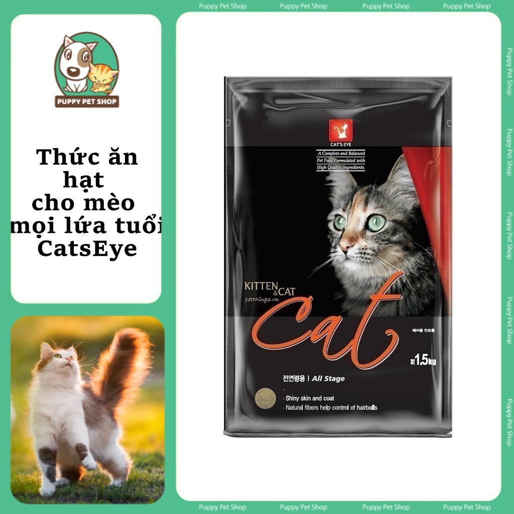[Bao 20kg] THỨC ĂN MÈO MỌI LỨA TUỔI CATEYE KITTEN & CAT