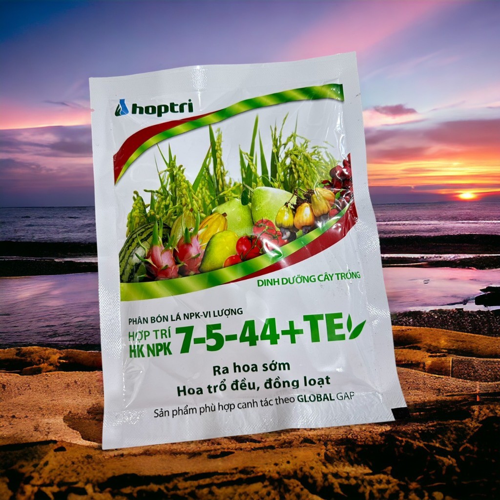 combo 5 gói 7-5-44 + TE hợp trí  GÓI 250GR