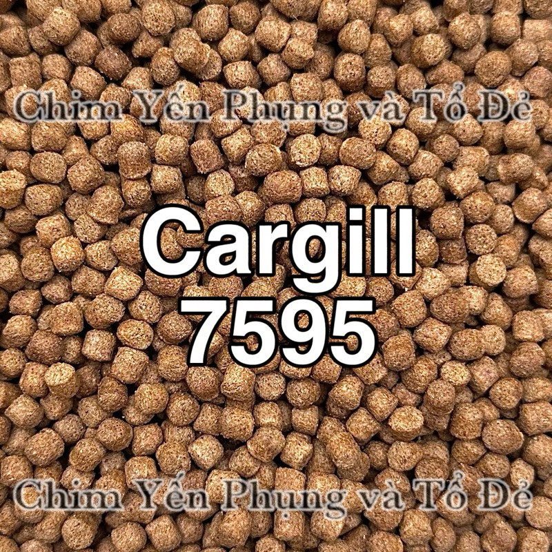 1kg [Cám Nền Vàng] Cargill 7595 (20% Đạm) – Thức Ăn & Mồi Câu Cá Đa Năng