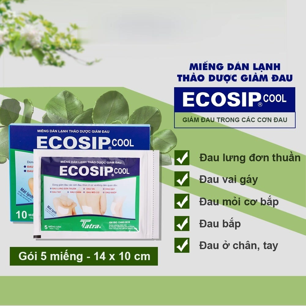Miếng dán lạnh thảo dược Ecosip Cool - Tatra