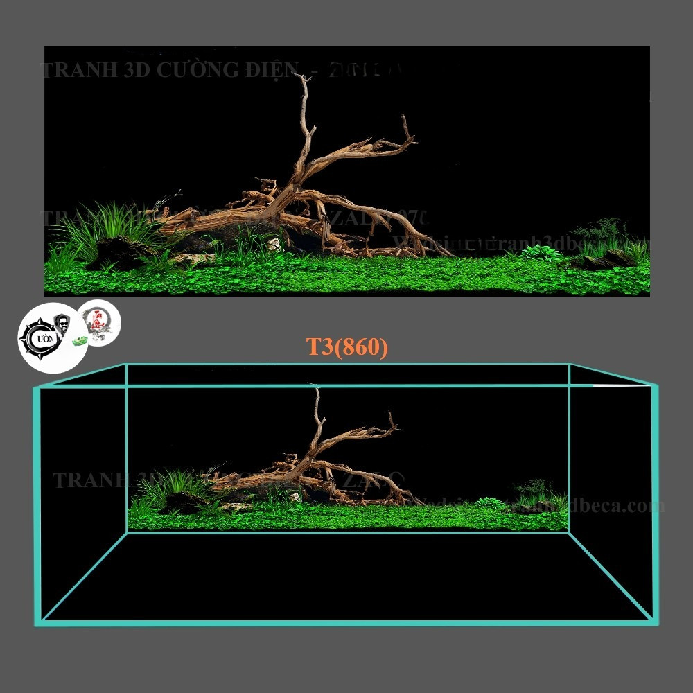 Tranh dán hồ cá 3d , hồ cá rồng , la hán , cá dĩa …mã tranh 860 , chất lượng cao, tranh có keo
