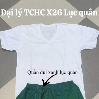 Quần đùi nam cotton chuẩn loại 1