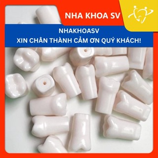 [GIẢM GIÁ] Răng nhựa nha khoa thực tập | Mô hình mài cùi răng đơn | (Chưa kèm ốc)