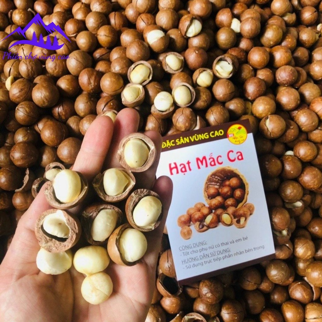 Macca hữu cơ Lai Châu nứt vỏ loại 1 (500g, 1kg) sấy khô từ macca tươi. Mắc ca, mac ca nguyên hạt làm