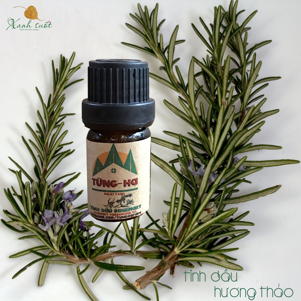 [Tùng Hạ Farm] Tinh Dầu Rosemary nguyên chất 5ml - Rosemary Essential Oil