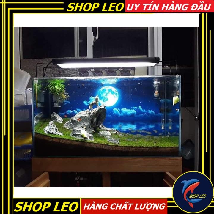 Chó sói hú ( nhựa chìm)