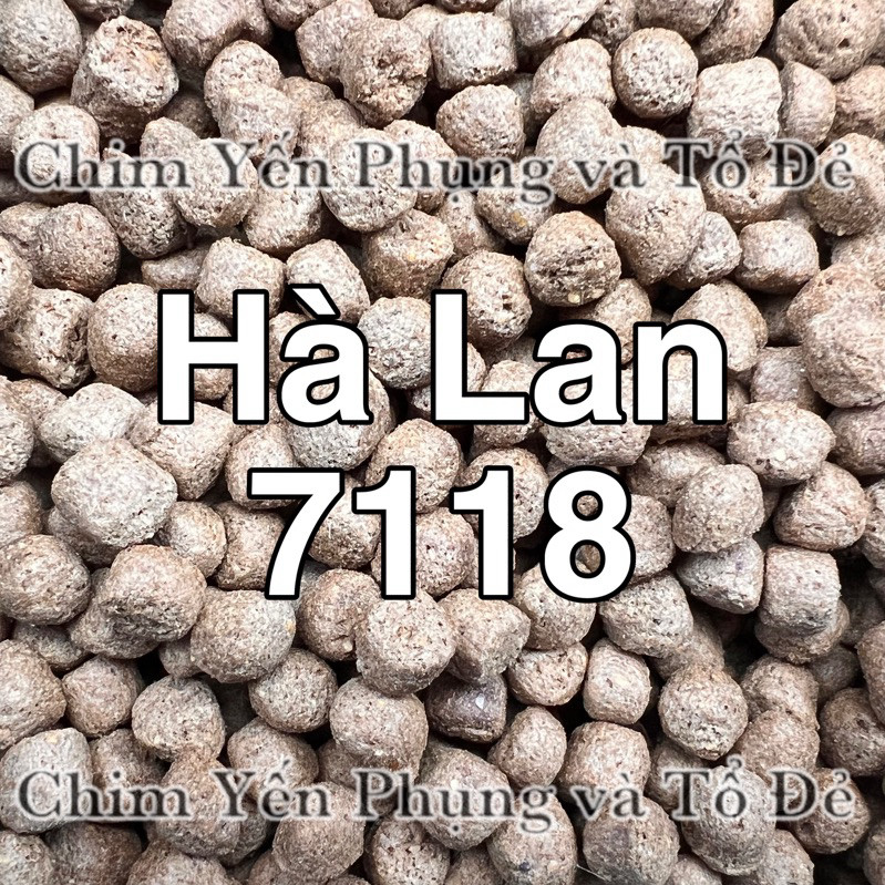 Cám Hà Lan 7118 – Mồi Câu Hiệu Quả & Thức Ăn Dinh Dưỡng Cho Cá
