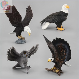 Đồ chơi giáo dục nhận thức cho trẻ em mô phỏng chim mô hình Đại Bàng Đầu Trắng Cú Đại Bàng chim săn mồi đồ trang trí búp bê làm bằng tay