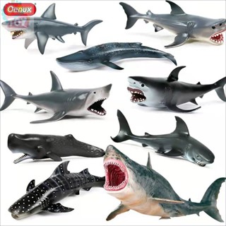 Mô hình sinh vật biển Đồ chơi nhận thức cho trẻ em Mô phỏng Megalodon Cá mập trắng lớn Cá mập thơm Cá voi Bộ mô hình cá voi