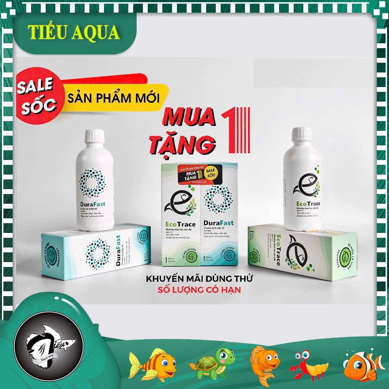 Combo Vi sinh DuraFast & Khoáng chọn lọc cao cấp EcoTrace xử lý độc tố cho hồ cá. Chai 300ml