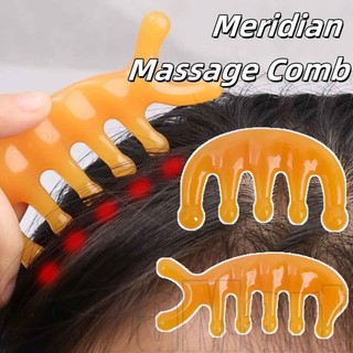 Bộ Lược Massage Kinh Tuyến Cao Cấp, Dụng Cụ Thư Giãn Đầu 5 Móng Vuốt Kích Thước Du Lịch, Spa Hoàn Hảo / Sử Dụng Tại Nhà Để Trị Liệu Cơ Thể & Da Đầu