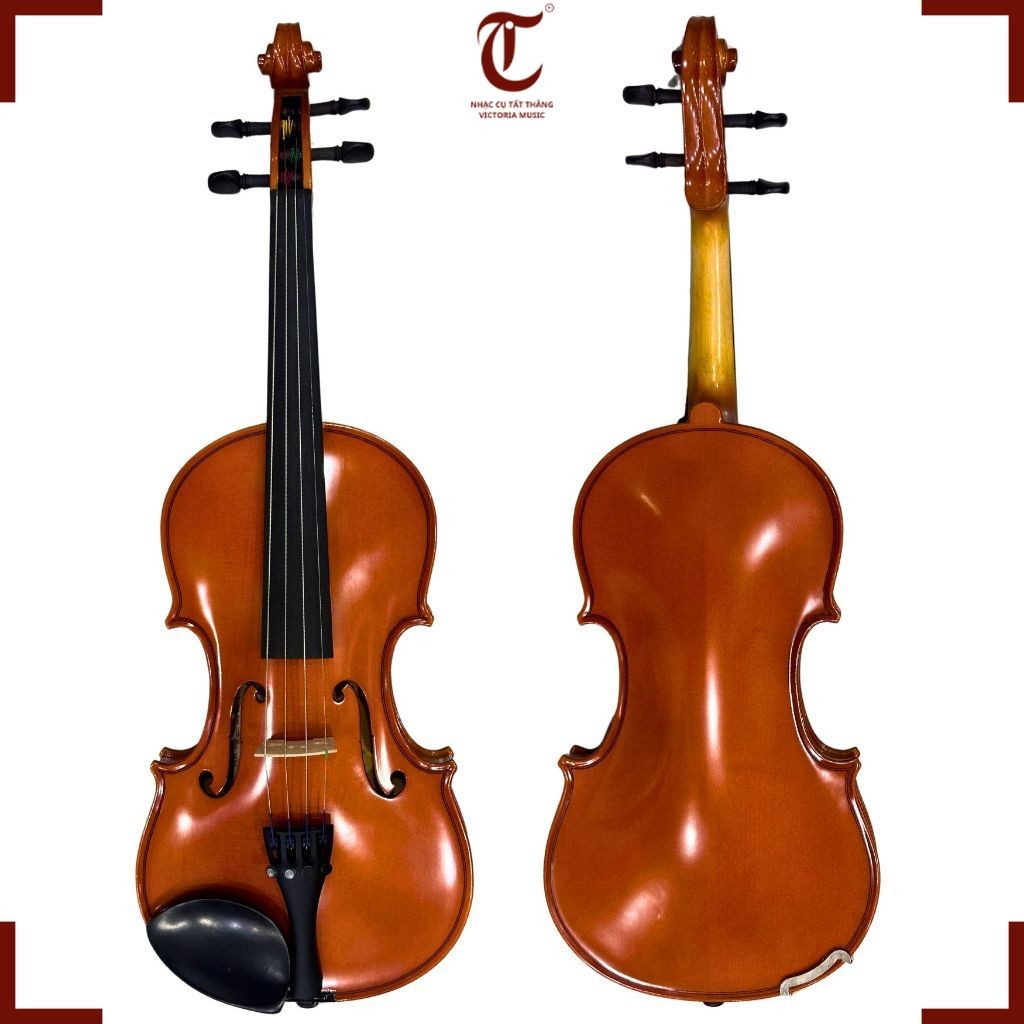 Đàn VIolin Yamaha V3SKA, Cỡ 4/4 và Cỡ 3/4